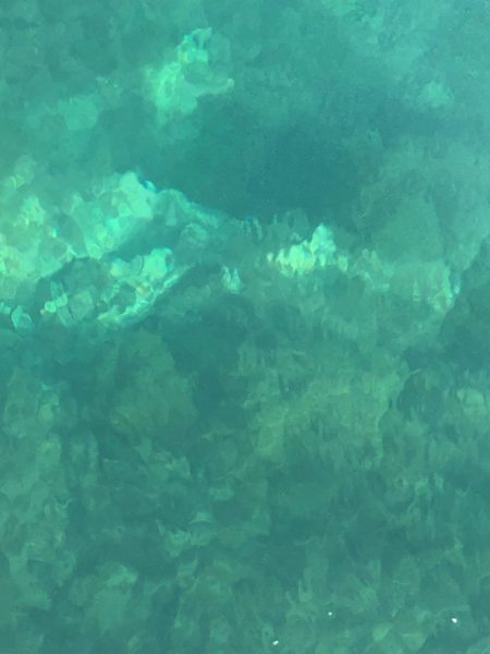 あみや渡船 釣果