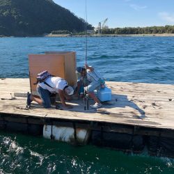 あみや渡船 釣果