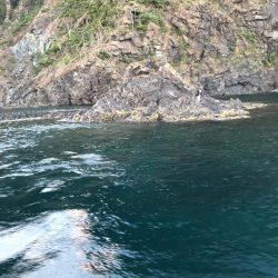 あみや渡船 釣果