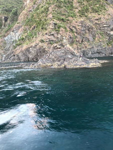 あみや渡船 釣果