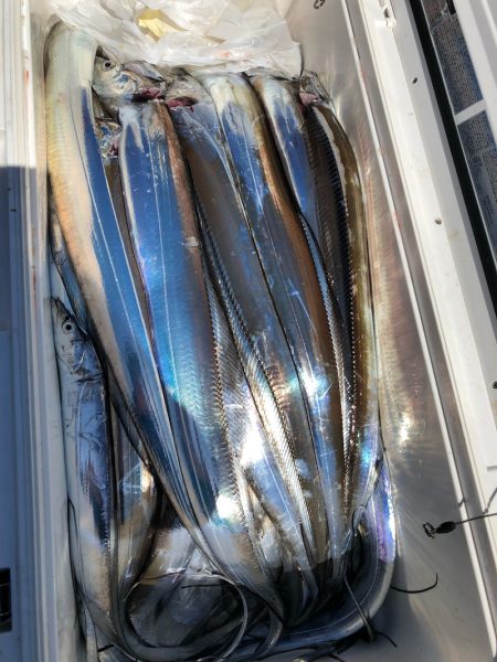 フィッシング　キッタカ 釣果