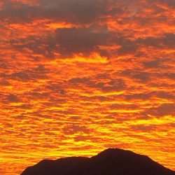 あみや渡船 釣果