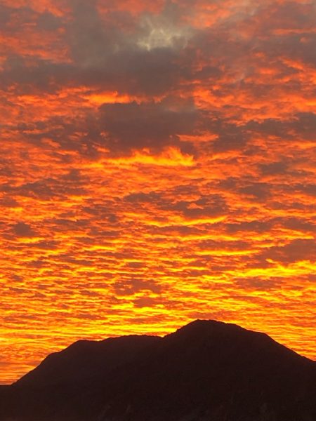 あみや渡船 釣果