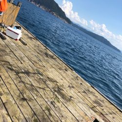 あみや渡船 釣果