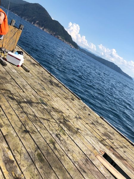 あみや渡船 釣果