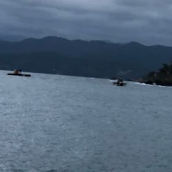 あみや渡船 釣果