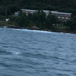 あみや渡船 釣果