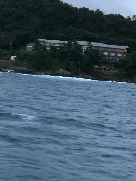 あみや渡船 釣果