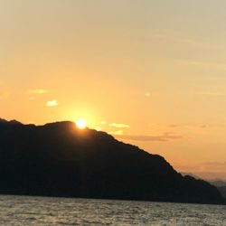 あみや渡船 釣果