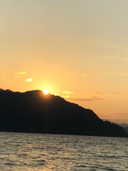 あみや渡船 釣果