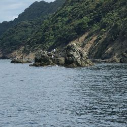 あみや渡船 釣果