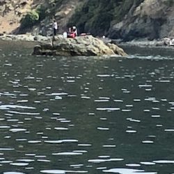 あみや渡船 釣果