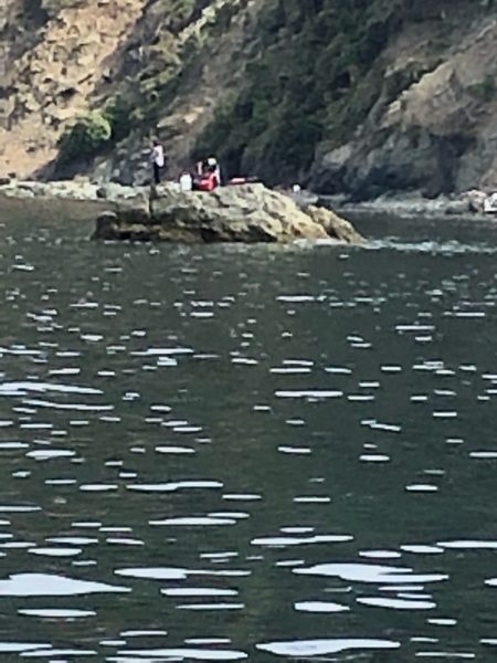 あみや渡船 釣果