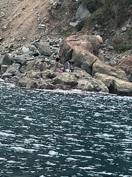 あみや渡船 釣果