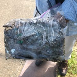 あみや渡船 釣果