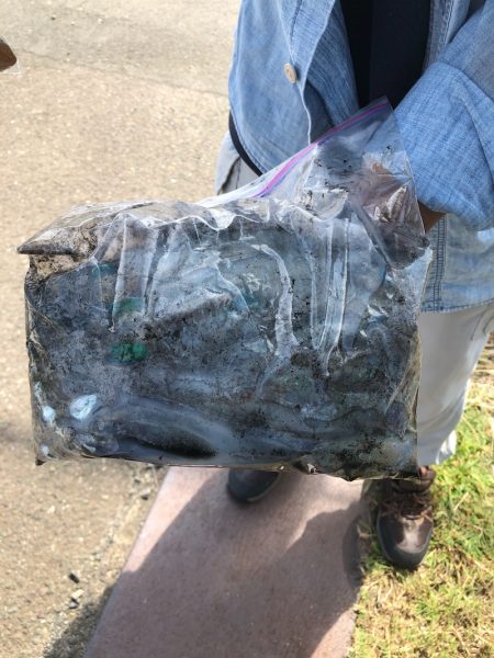 あみや渡船 釣果