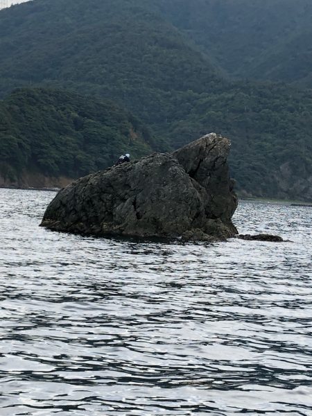 あみや渡船 釣果