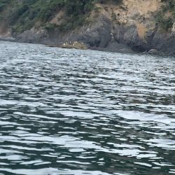 あみや渡船 釣果