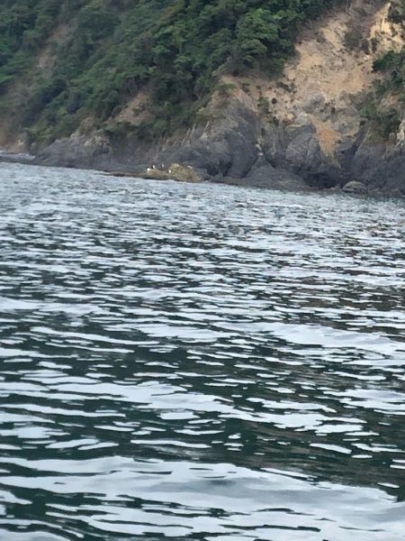 あみや渡船 釣果