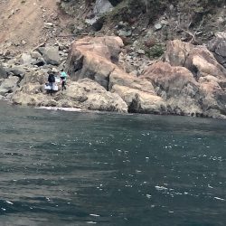 あみや渡船 釣果