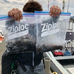 あみや渡船 釣果