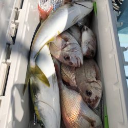 第二八坂丸 釣果