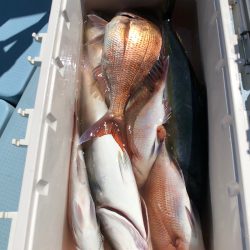 第二八坂丸 釣果