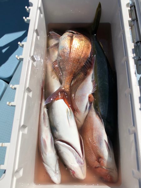 第二八坂丸 釣果