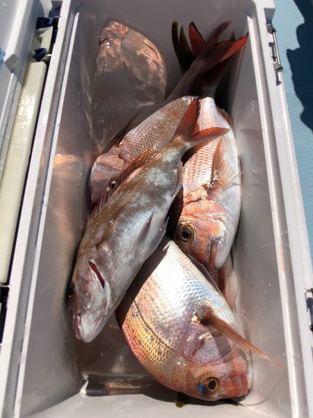 第二八坂丸 釣果