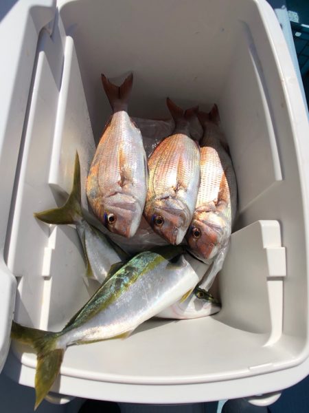 第二八坂丸 釣果