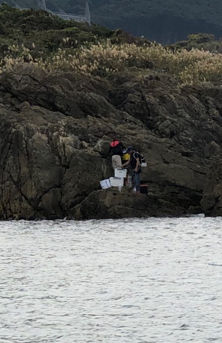 あみや渡船 釣果