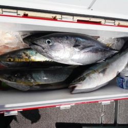 第二大福丸 釣果