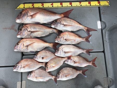 sea boss シーボス 釣果