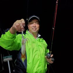 ブルーピア 釣果