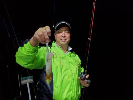 ブルーピア 釣果