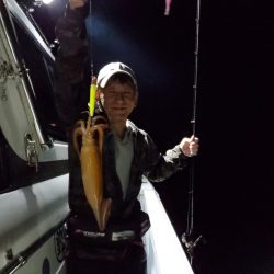 ブルーピア 釣果