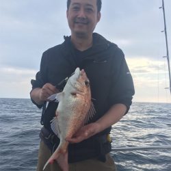 マタウマリンサービス 釣果