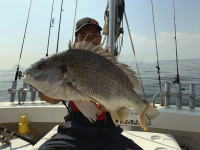 オーシャンマスター 釣果