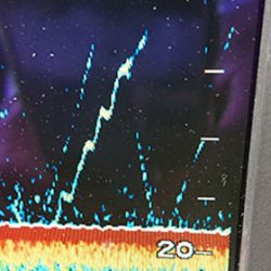 松本釣船２ 釣果