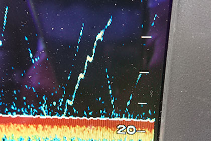 松本釣船２ 釣果