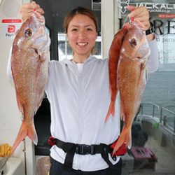 松本釣船２ 釣果