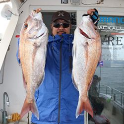 松本釣船２ 釣果