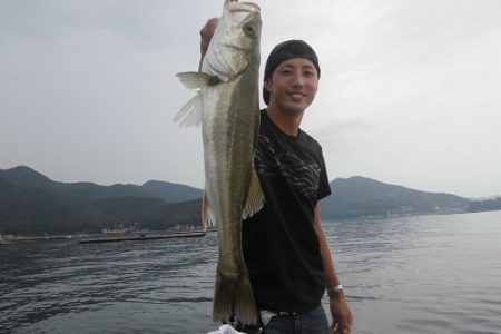 ルアー船マヒマヒ 釣果