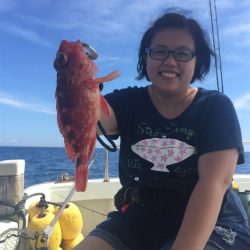 マタウマリンサービス 釣果