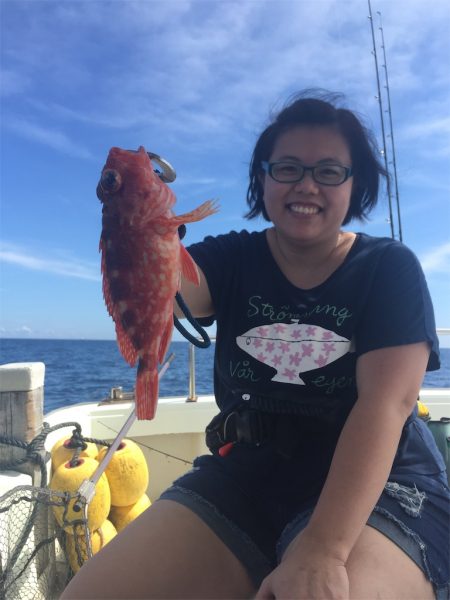 マタウマリンサービス 釣果