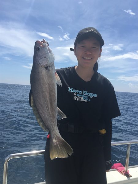 マタウマリンサービス 釣果