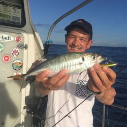 マタウマリンサービス 釣果