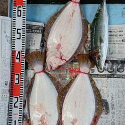 明神釣船 釣果