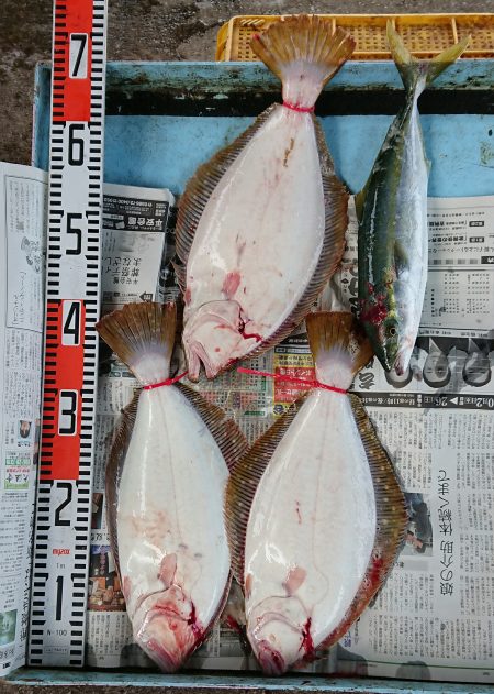 明神釣船 釣果