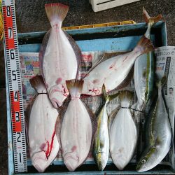 明神釣船 釣果